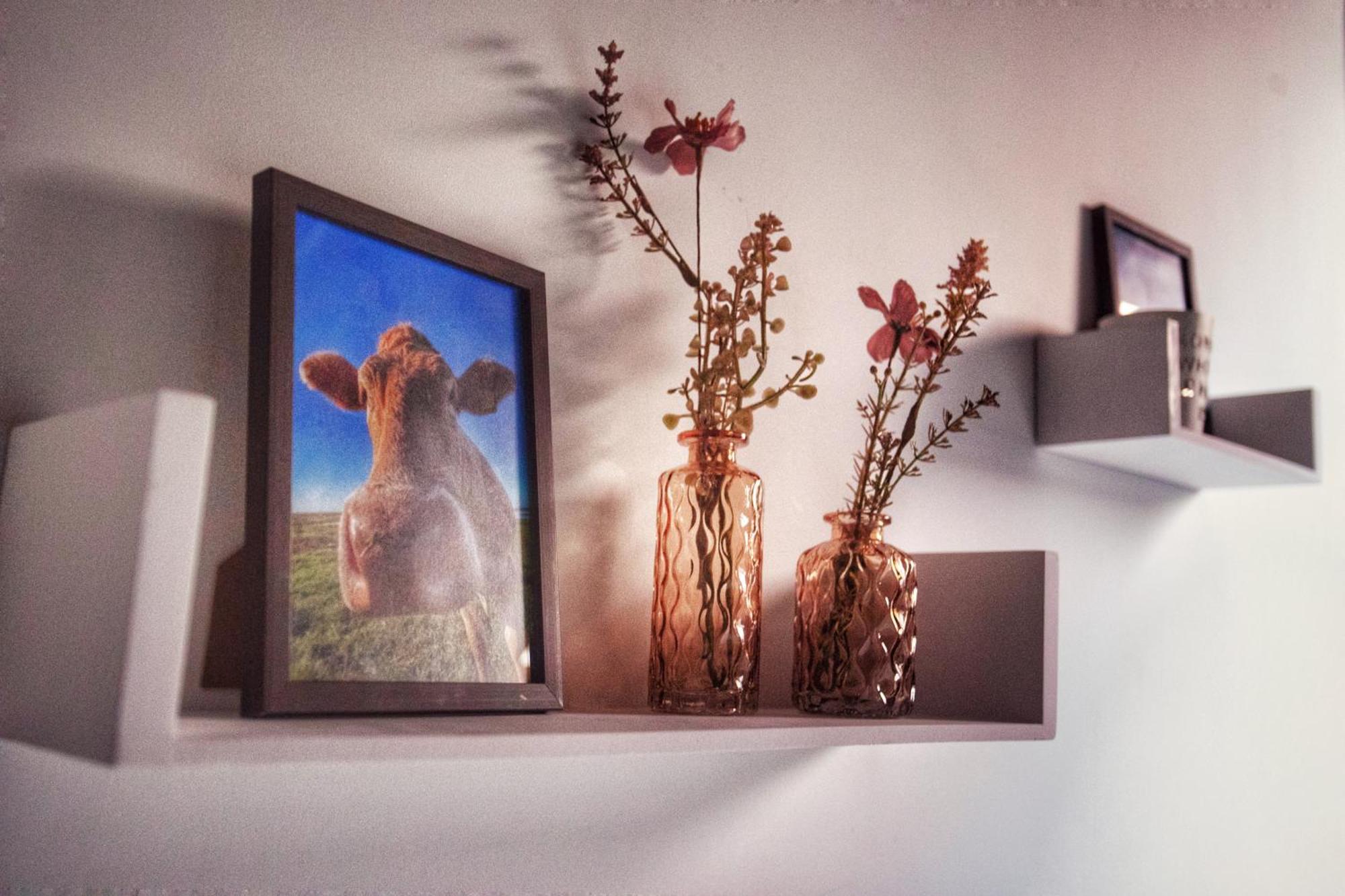 Huize Adriana Guest House Wolphaartsdijk Екстериор снимка